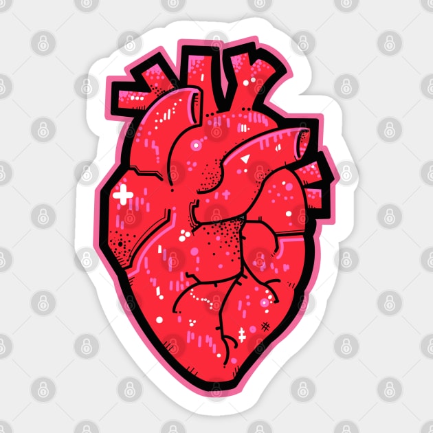 Anatomical heart red and pink Sticker by weilertsen